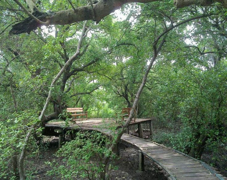 Bhimbandh Wildlife Sanctuary